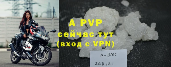 прущая мука Инта