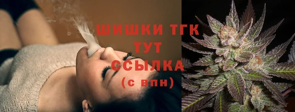 ПСИЛОЦИБИНОВЫЕ ГРИБЫ Иннополис