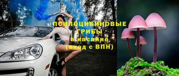 прущая мука Инта