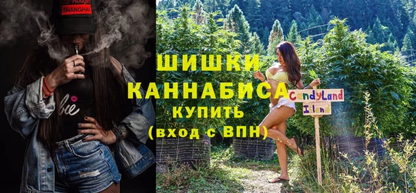 ПСИЛОЦИБИНОВЫЕ ГРИБЫ Иннополис