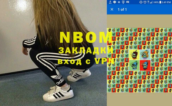 крисы Каменногорск