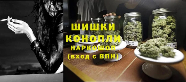 прущая мука Инта